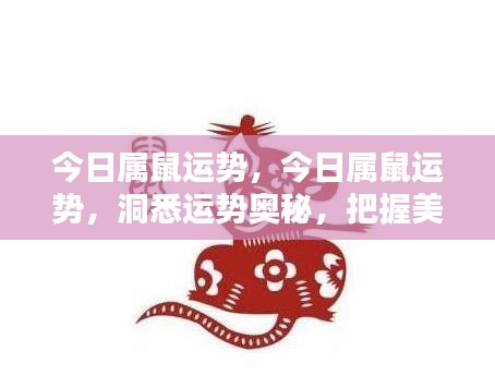 删繁就简 第5页