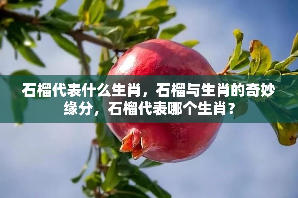 石榴与生肖的奇妙关联,石榴究竟代表哪个生肖?