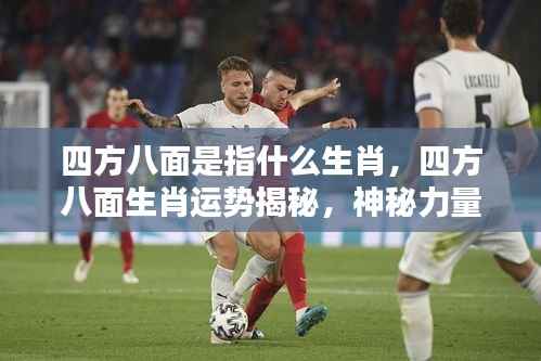 揭秘四方八面生肖运势,探寻神秘力量下的生肖奥秘