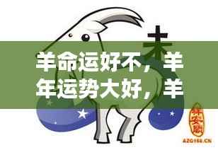 羊年运势旺盛，羊的命运走向解析