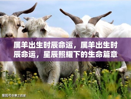 心急如焚 第5页