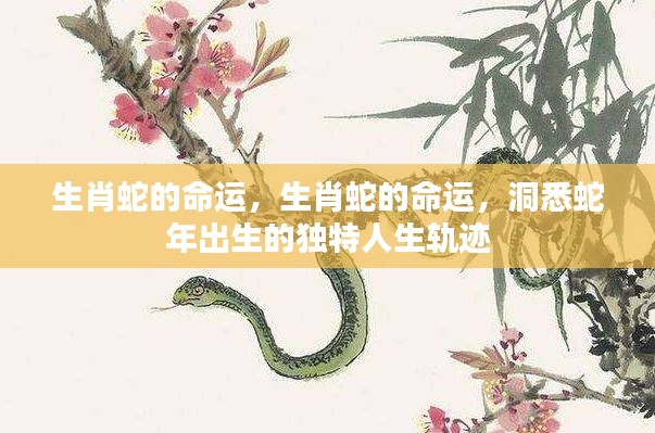 专题 第230页