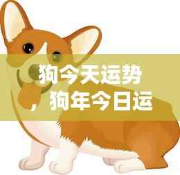 炊粱跨卫 第6页