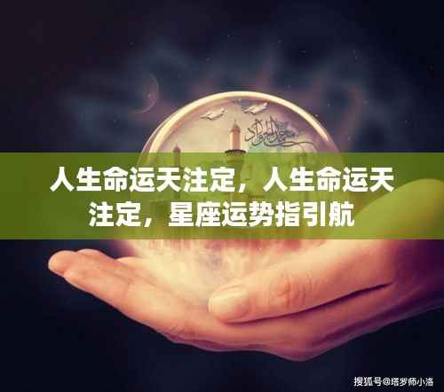 星座运势指引人生航向，命运天注定之探索