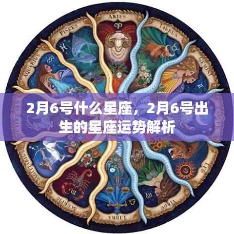 2月6号星座运势解析,探寻星座命运之旅的起点