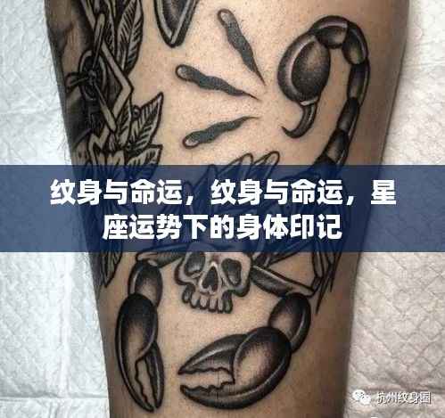 独一无二 第5页