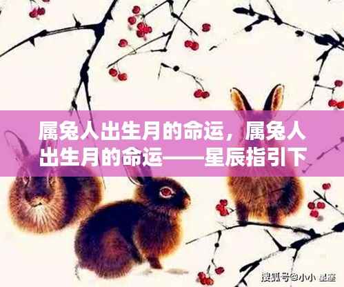 指手画脚 第5页