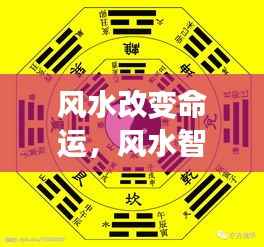 光明磊落 第5页