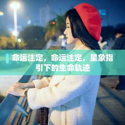 指李推张 第5页