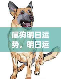 明日运势详解,属狗者的吉祥展望