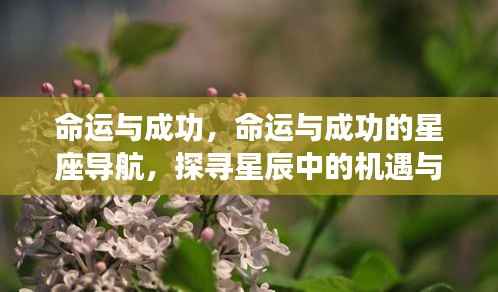 命运与成功的星座导航,探寻星辰中的机遇与挑战,探寻命运与成功的关联