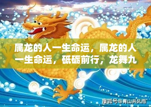 物稀为贵 第4页