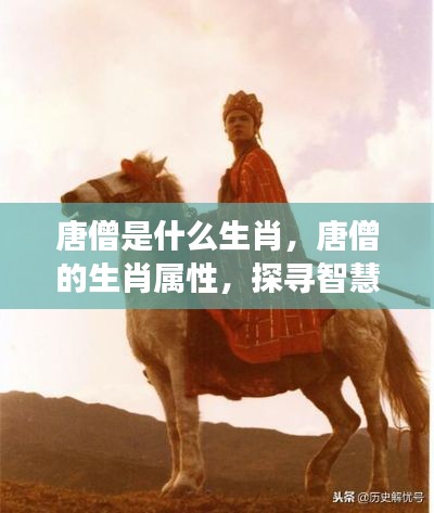 以卵就石 第6页