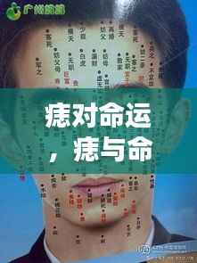 反正还淳 第5页