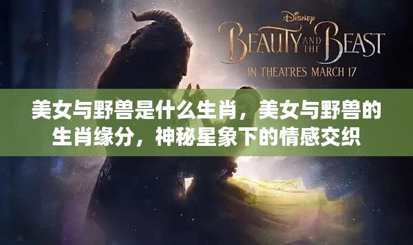 美女与野兽的生肖缘分，星象下的情感神秘交织