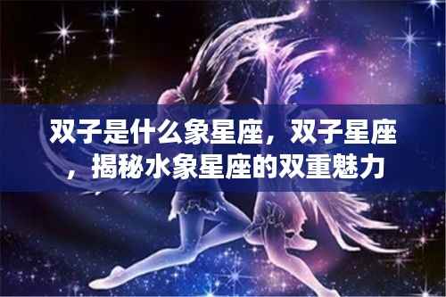 揭秘双子座,水象星座的双重魅力与特质解析
