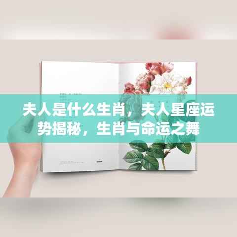 惊弦之鸟 第4页