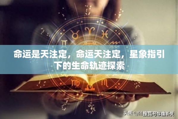 飞蛾扑火 第4页