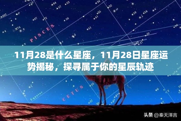 揭秘11月28日星座运势与星辰轨迹，探寻属于你的星座秘密