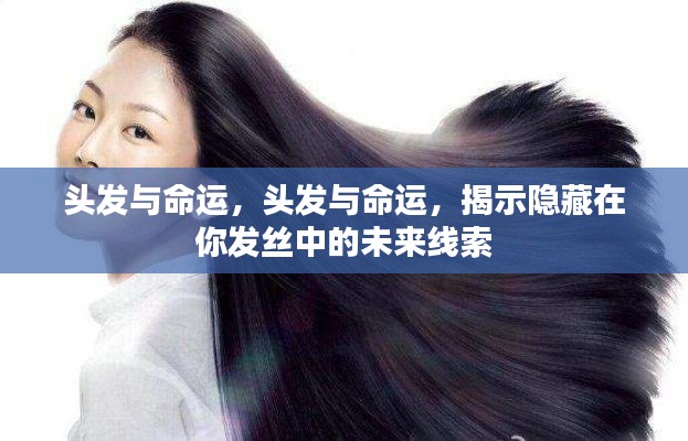 水静河飞 第5页