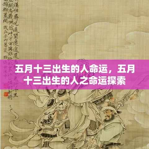 五月十三出生的人命运探索与解析
