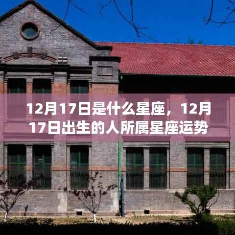 听见风就是雨 第5页