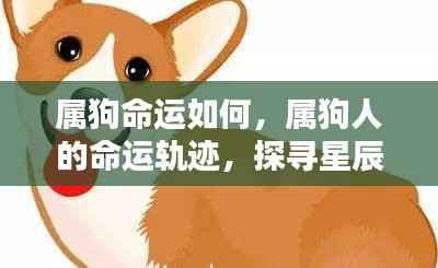 精耕细作 第5页