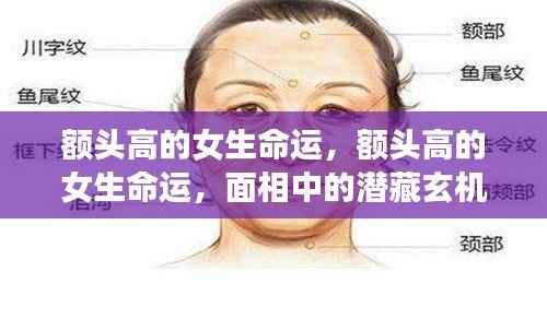 额头高的女生命运，面相中的潜藏玄机与人生轨迹揭秘