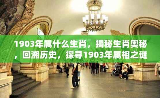 星星打烊 第4页