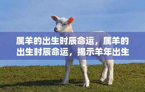 喜笑颜开 第5页