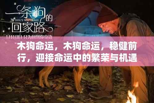 一往无前 第5页