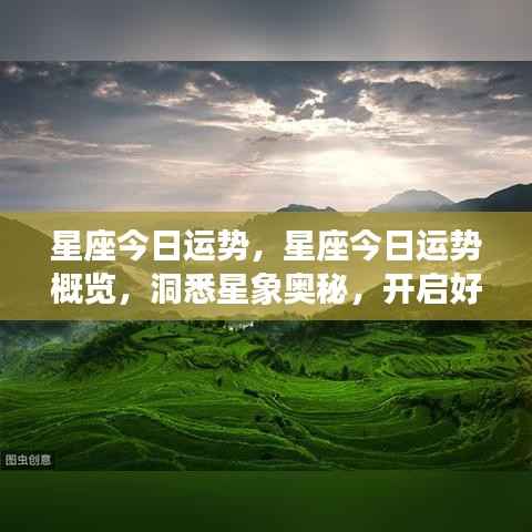 今日星座运势概览，洞悉星象奥秘，开启幸运之门