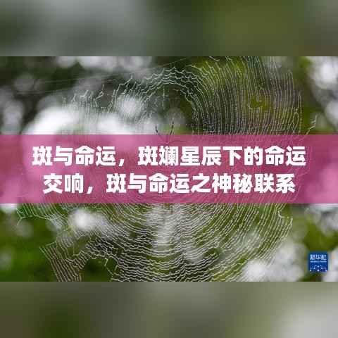 斑与命运，星辰下的神秘交响与命运联系探寻