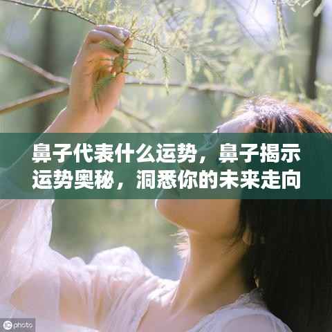 鼻子揭示运势奥秘，洞悉未来走向的线索