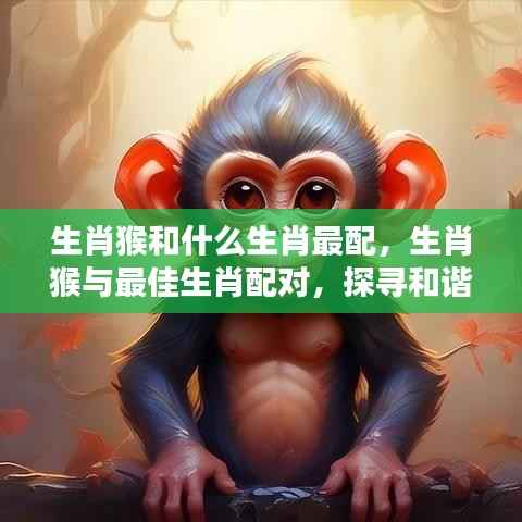 达官贵人 第4页