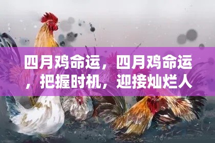 十全十美 第4页