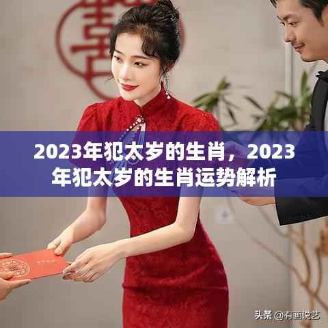 豪门贵胄 第4页