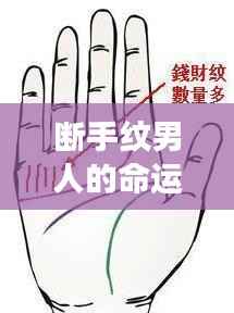 张三李四 第4页