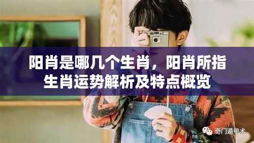 阳肖运势概览与特点解析,揭秘生肖奥秘