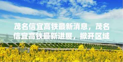 茂名信宜高铁进展掀开区域交通枢纽新篇章，最新消息速递