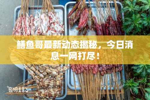 鳝鱼哥最新动态揭秘,今日消息一网打尽!