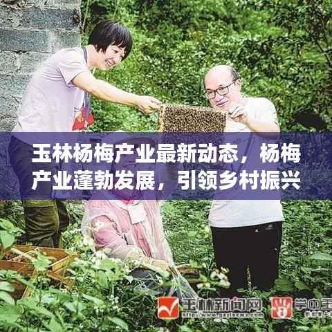 鸟语蝉鸣 第4页