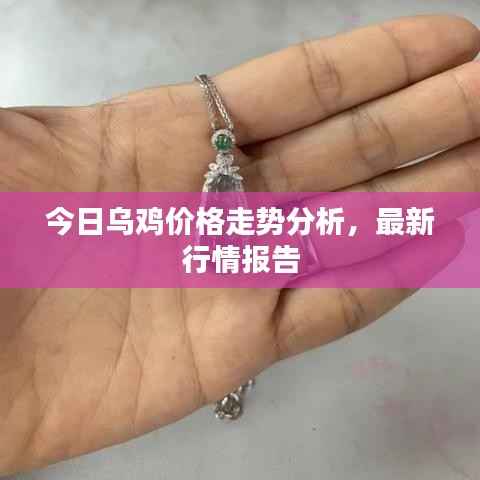 定谋贵决 第4页