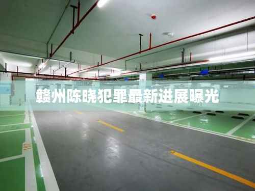 赣州陈晓犯罪最新进展曝光