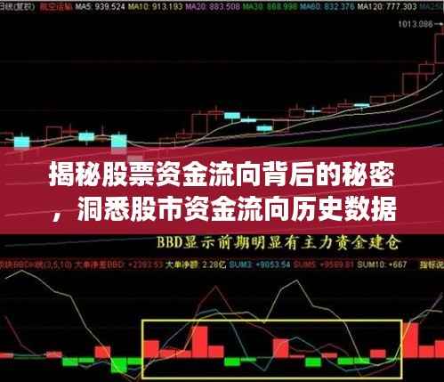 行疾如飞 第4页