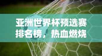 亚洲世界杯预选赛排名榜，热血燃烧，谁将成为希望之光？