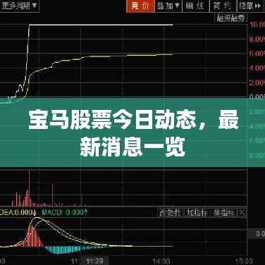 差强人意 第3页