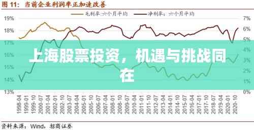 水浄鹅飞 第3页