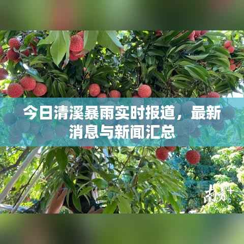 一往无前 第4页