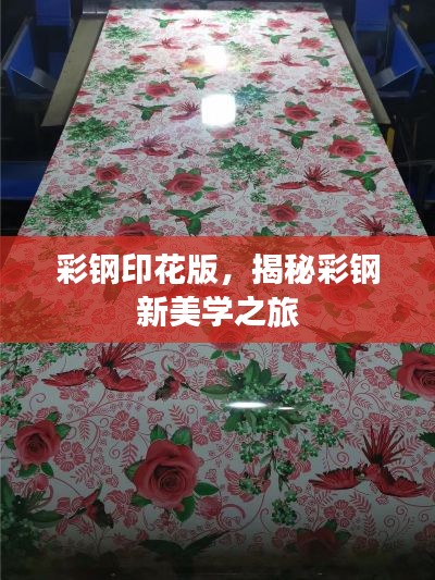 大张挞伐 第4页